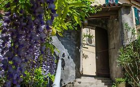 Wisteria House